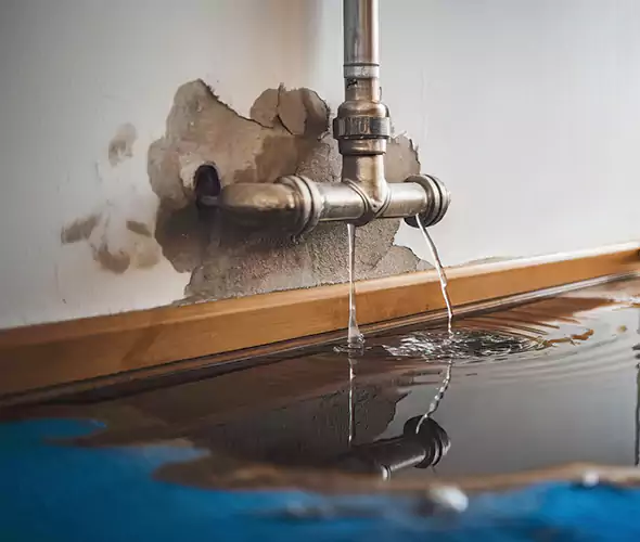 Professional Water Damage Restoration Experts in Redlands, CA — Fast, Reliable & Certified